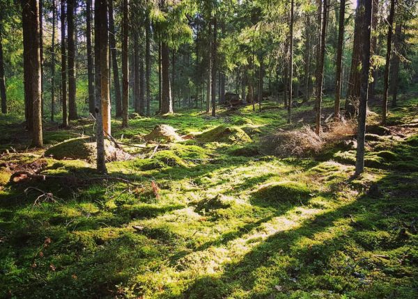 Nuorten mielenterveyden haasteet kertovat kiihtyneestä ja vaativasta ajasta